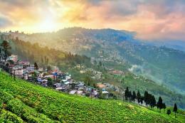 Darjeeling Accommodations